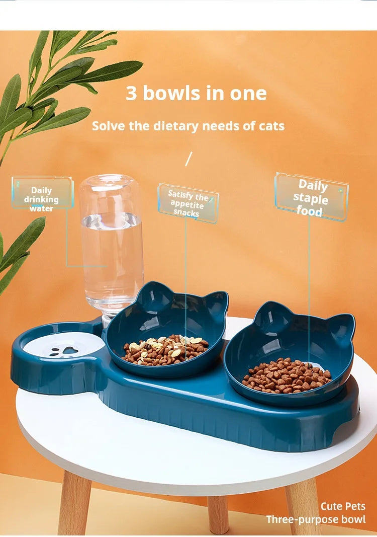 Tilted Pet Bowl Set with Gravity Water Feeder