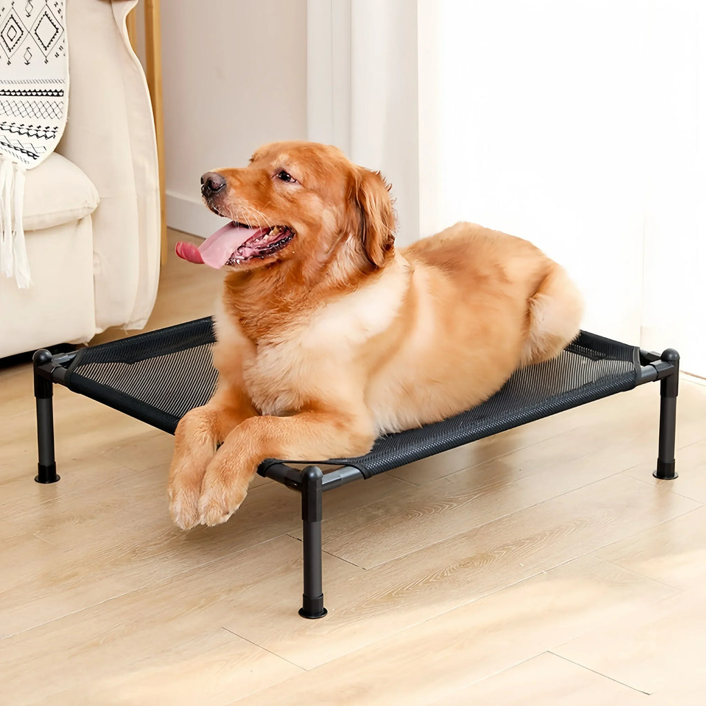 Elevated Portable Pet Bed — Foldable & Washable