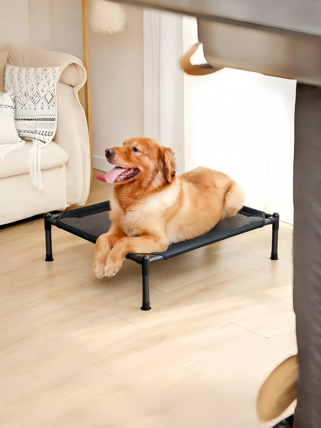 Elevated Portable Pet Bed — Foldable & Washable